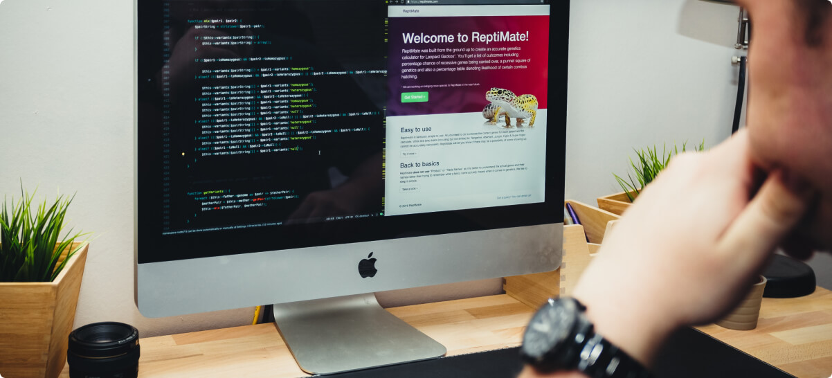 Custom Website Development Services